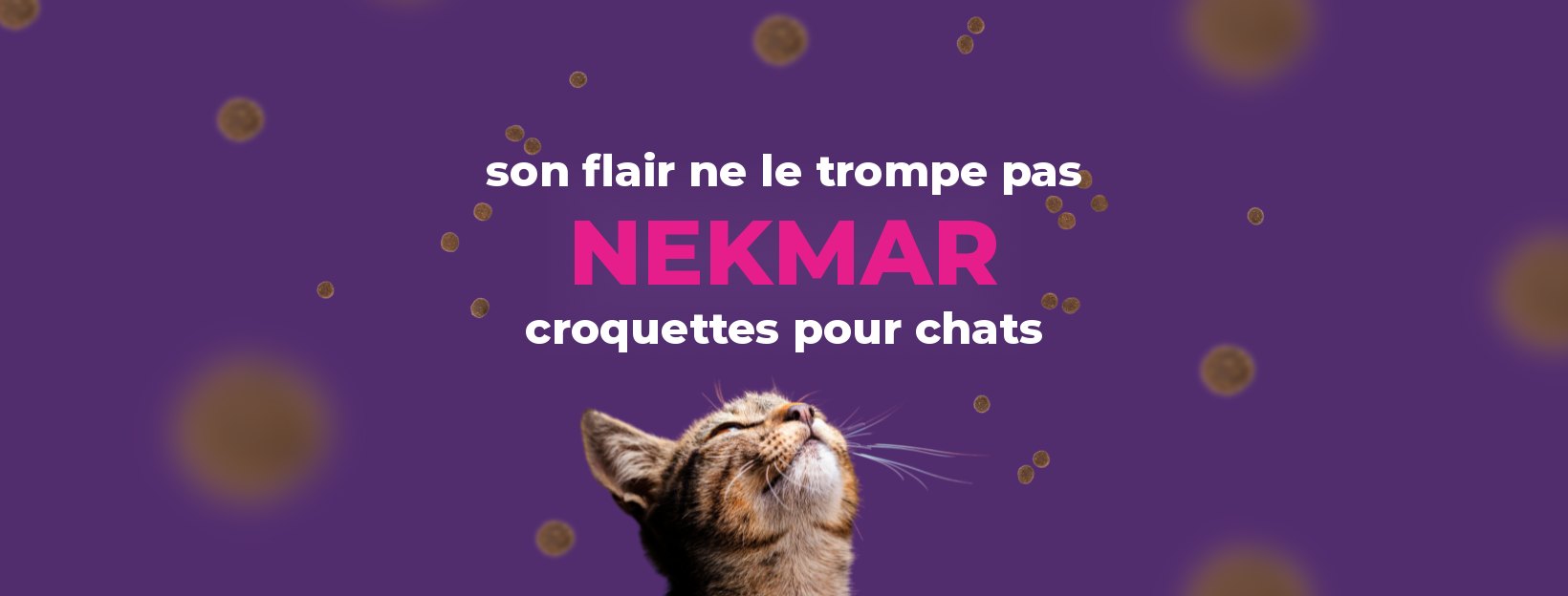 Nekmar croquettes pour chats